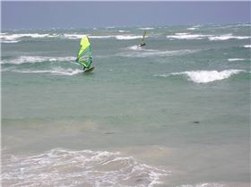 Snapper Sunday Morning