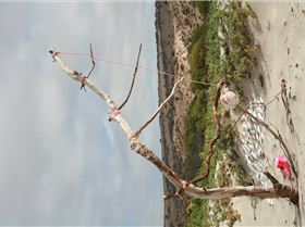 quite a windy day at corronation beach w.a