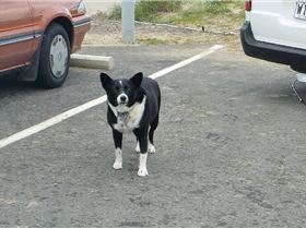 State Wave Titles 09 Day St 032