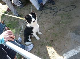 State Wave Titles 09 Day St 059