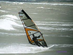 Photos at seacliff 26/9/09 by Vikki Collis