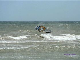 Photos at seacliff 26/9/09 by Vikki Collis