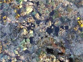 Eddie promised a pair of sun glasses