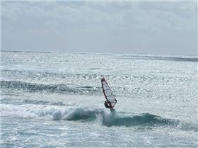 Jack the the snake roberts