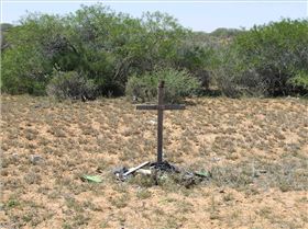 R.I.P     KIWI      North West  Ninga 260kmph  11 years