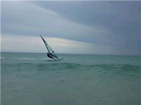 Sellicks Nov 09 001 (Small)