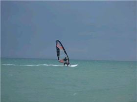 Sellicks Nov 09 026 (Small)