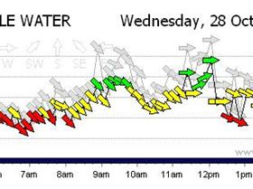 Anygood for pelican point?