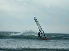 Photo's by Vikki Collis