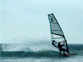 Photo's by Vikki Collis