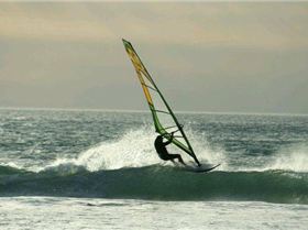 Photo's by Vikki Collis