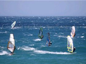 SHQ Cup event Wave pics at Warratah Bay on Tue