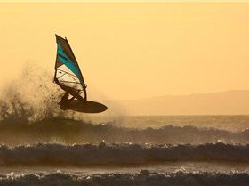 monday evening melb cup weekend ,Joel doing his thing