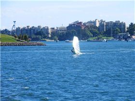 Phil testing the CA Formula Board