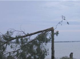 Yesterday's storm that hit Barmera 60+ knot winds and heavy rain