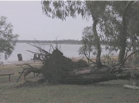 Yesterday's storm that hit Barmera 60+ knot winds and heavy rain