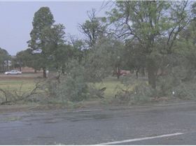 Yesterday's storm that hit Barmera 60+ knot winds and heavy rain