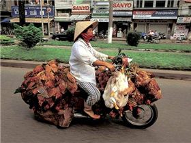 Cobra Board shapers.. shape & ride