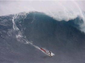 Francisco Goya - Shaper