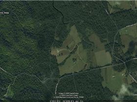 Queenslake Picnic Area 1a