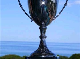 GTC international cup