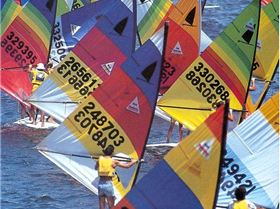 Old race in Sydney Harbour