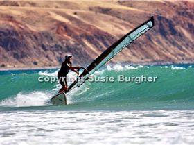 Sellicks on 15 Jan 2010