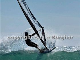 Sellicks on 15 Jan 2010