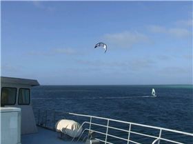 To much salt in the wounds