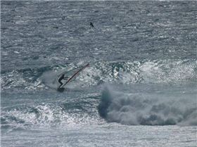 national titles 2010