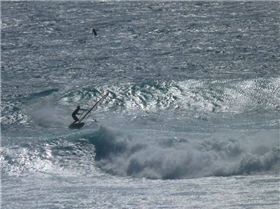 national titles 2010