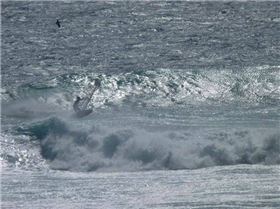 national titles 2010