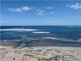 national titles 2010