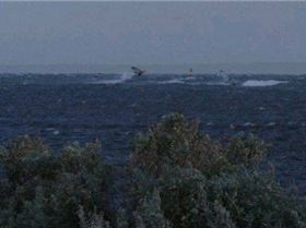 rickets 7pm 22 02 2010