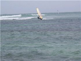 nene small channel day