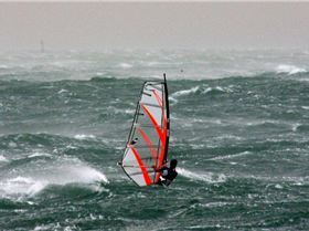 Windy Day April 2008 155