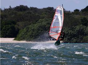 Shearwater March 2010