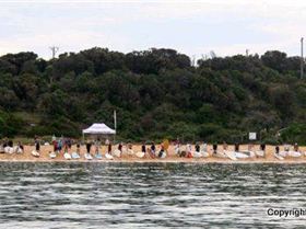 SHQ SUP Cruise to Cerberus