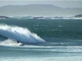 easter - bluff beach and nettley bay