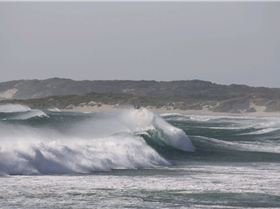 Al  Macleod & Anthony Houston