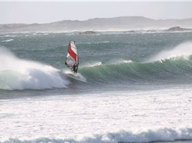 Al  Macleod & Anthony Houston