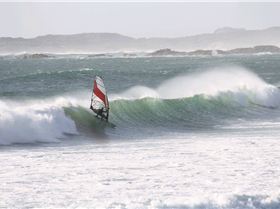 Al  Macleod & Anthony Houston