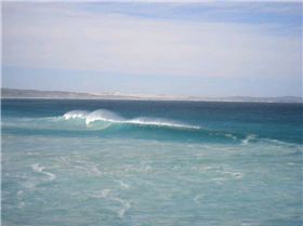 Wrecked Offshore and Fisheries