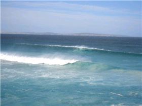 Wrecked Offshore and Fisheries