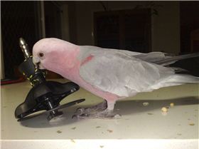 Finished item meets quality control