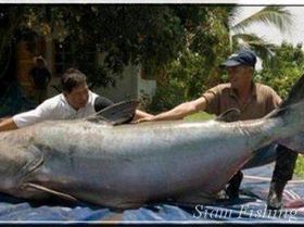 Damo and I caught this at Dorans last weekend