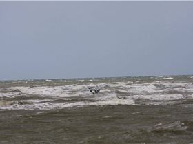 Neville  Easter blow