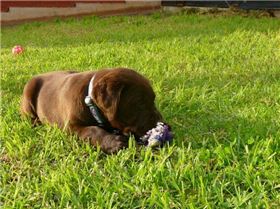 borrid garden day 001