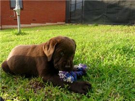 borrid garden day 002