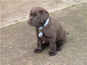 borrid garden day 005